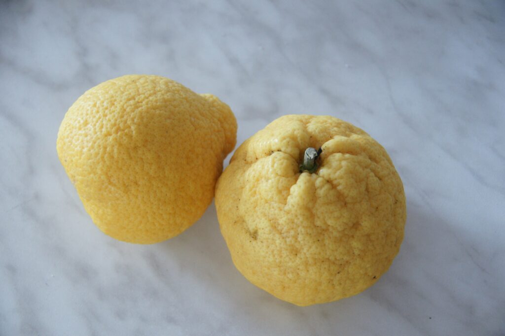 Citrus natsudaidai Hayata 