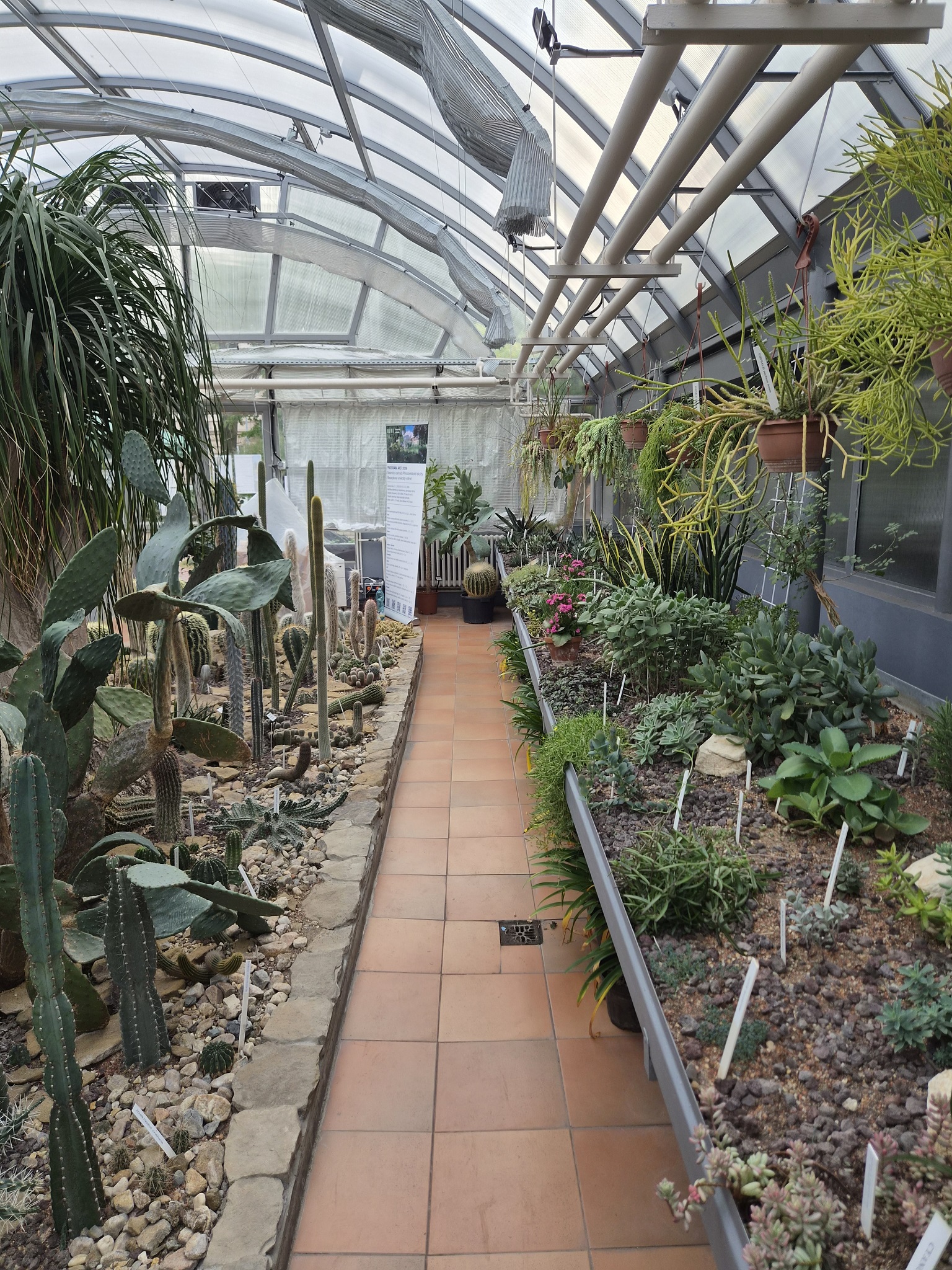 Botanická zahrada Přírodovědecké fakulty Masarykovy univerzity v Brně