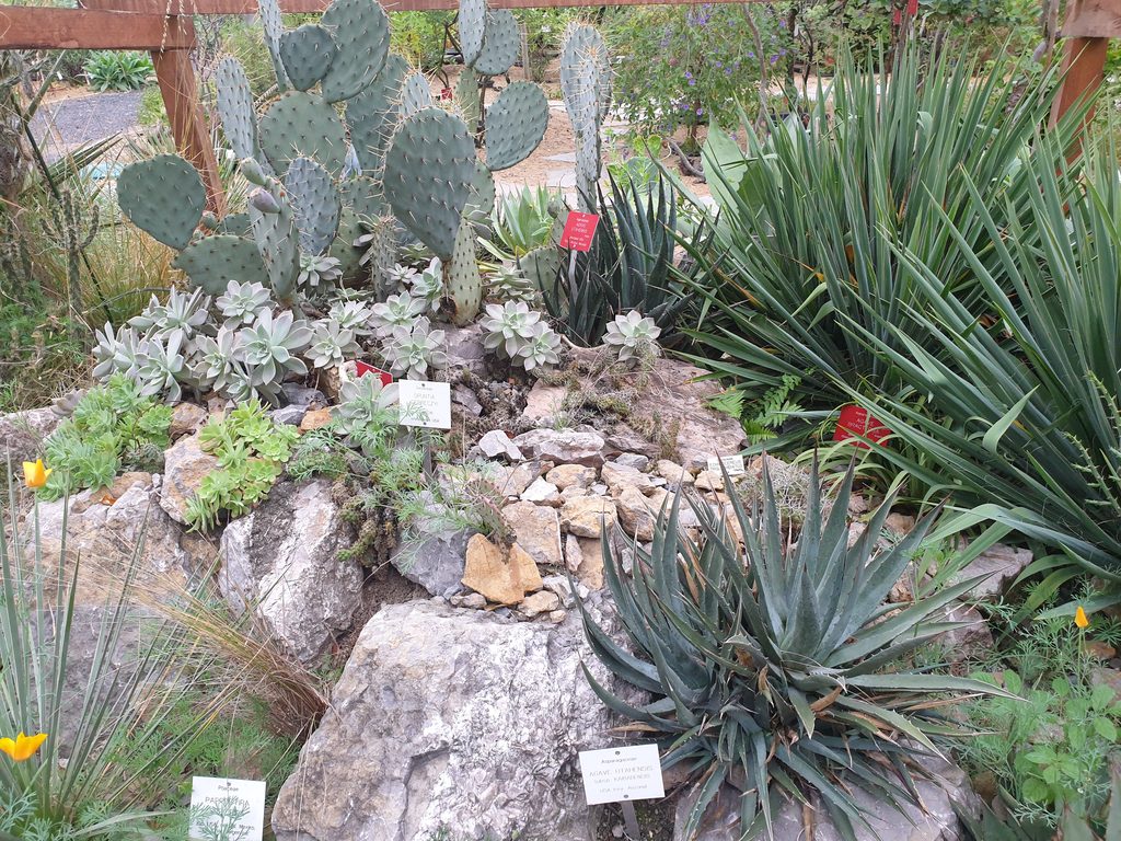 Botanická zahrada Na Slupi