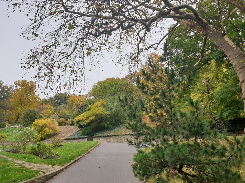 Botanická zahrada Na Slupi