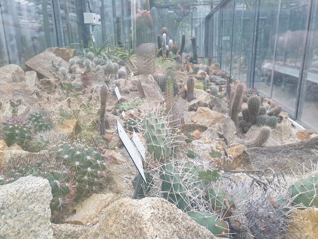 Botanická zahrada Na Slupi